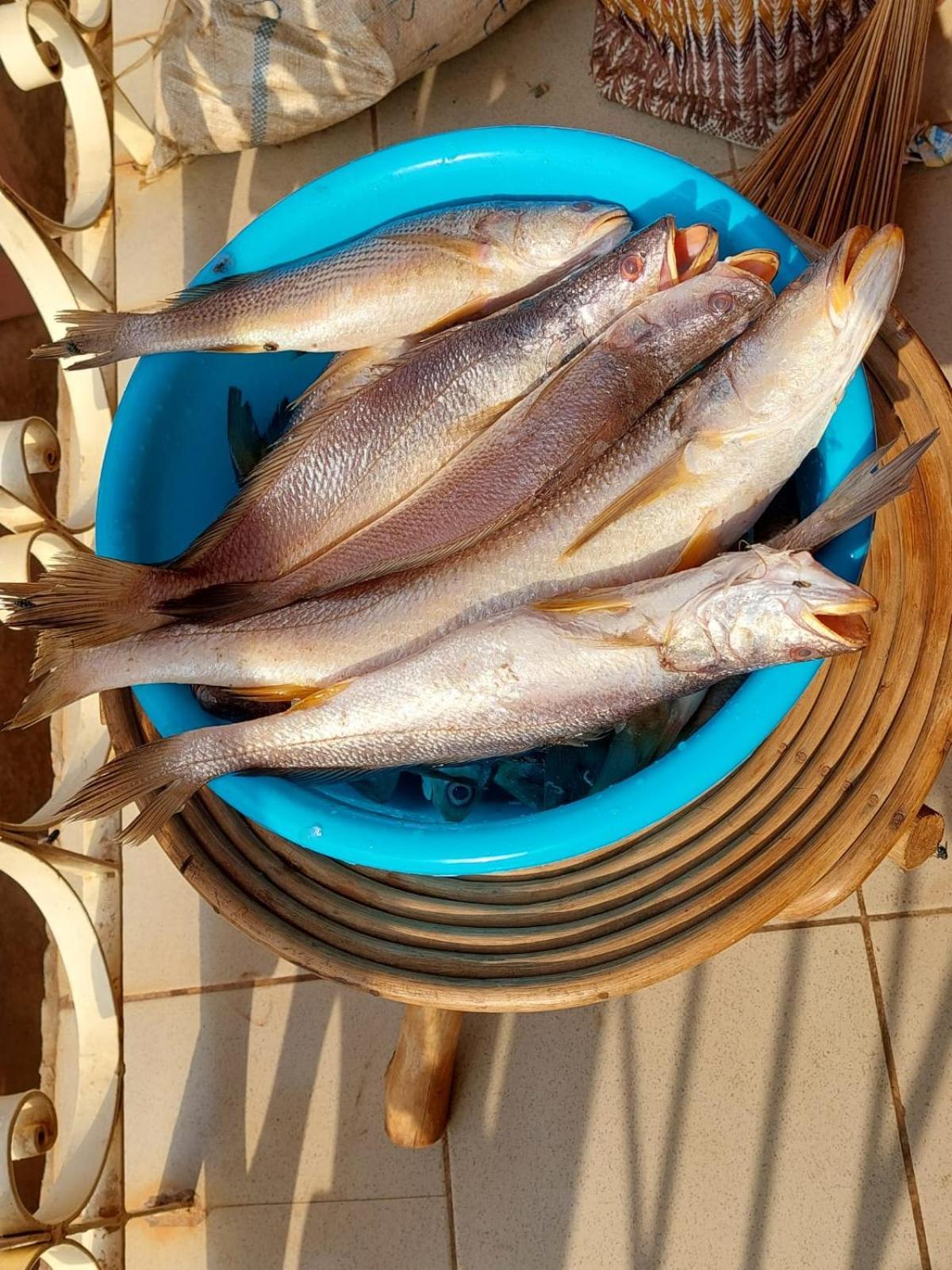 Residence Callens Kribi Zewnętrze zdjęcie